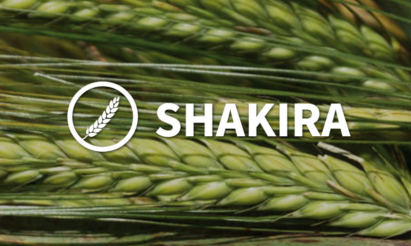 Antonio_TorresB's tweet photo. Pues a mi si me dices shakira pienso en esto .....  @LGSeedsES https://t.co/eTSnBusCiq