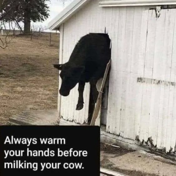 PolywestLtd's tweet photo. #FarmJokeFriday, but also an important reminder. π
Have a great weekend, everyone! https://t.co/shrfwIK7kg