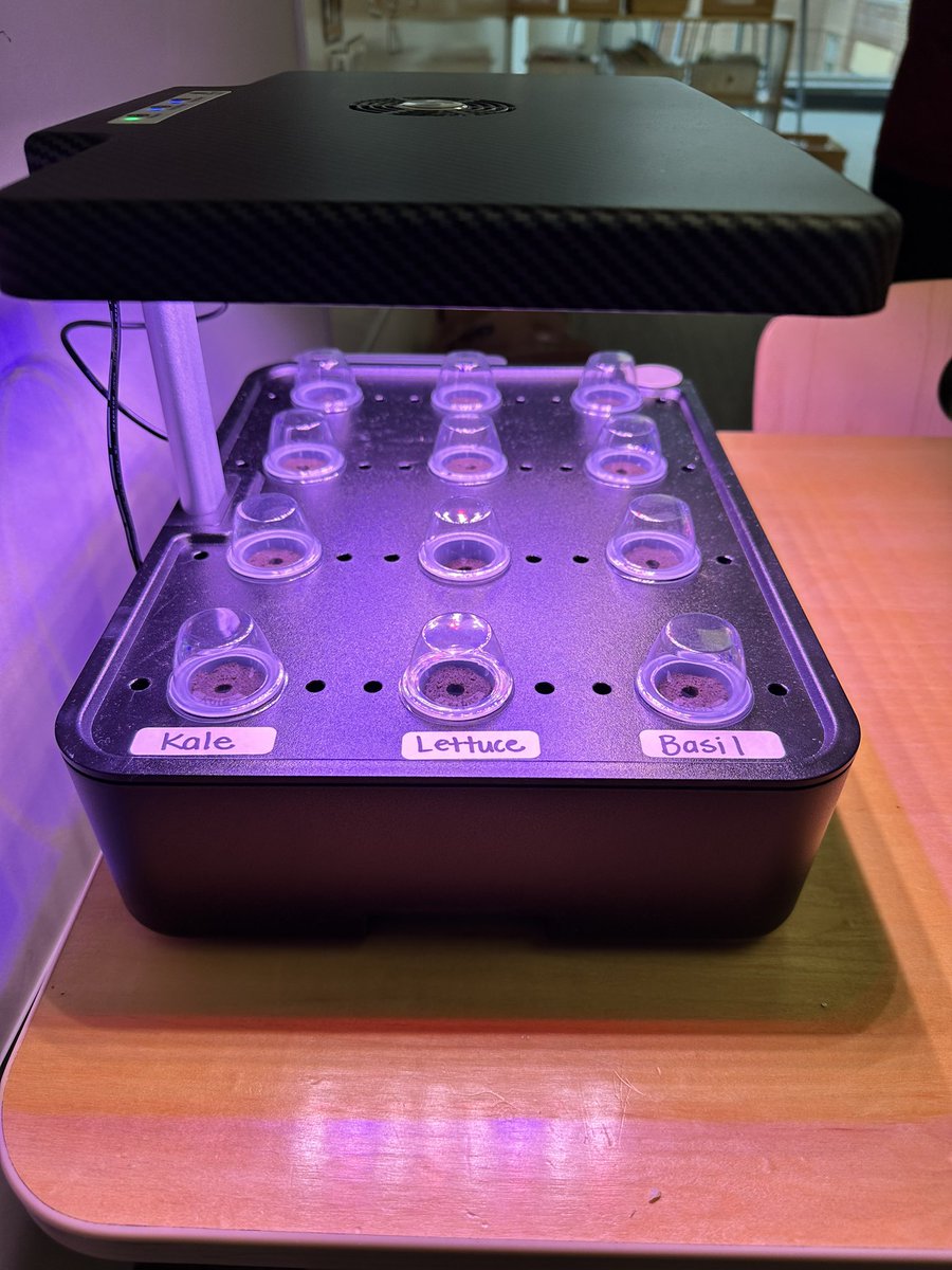 Thanks <a href="/Daniel1Teach/">Brooke Daniel</a> for bringing us our hydroponic tank this week. Today we planted basil, lettuce, and kale! <a href="/HSESchools/">Hamilton Southeastern Schools</a> <a href="/SoutheasternEl1/">Southeastern Elementary</a>