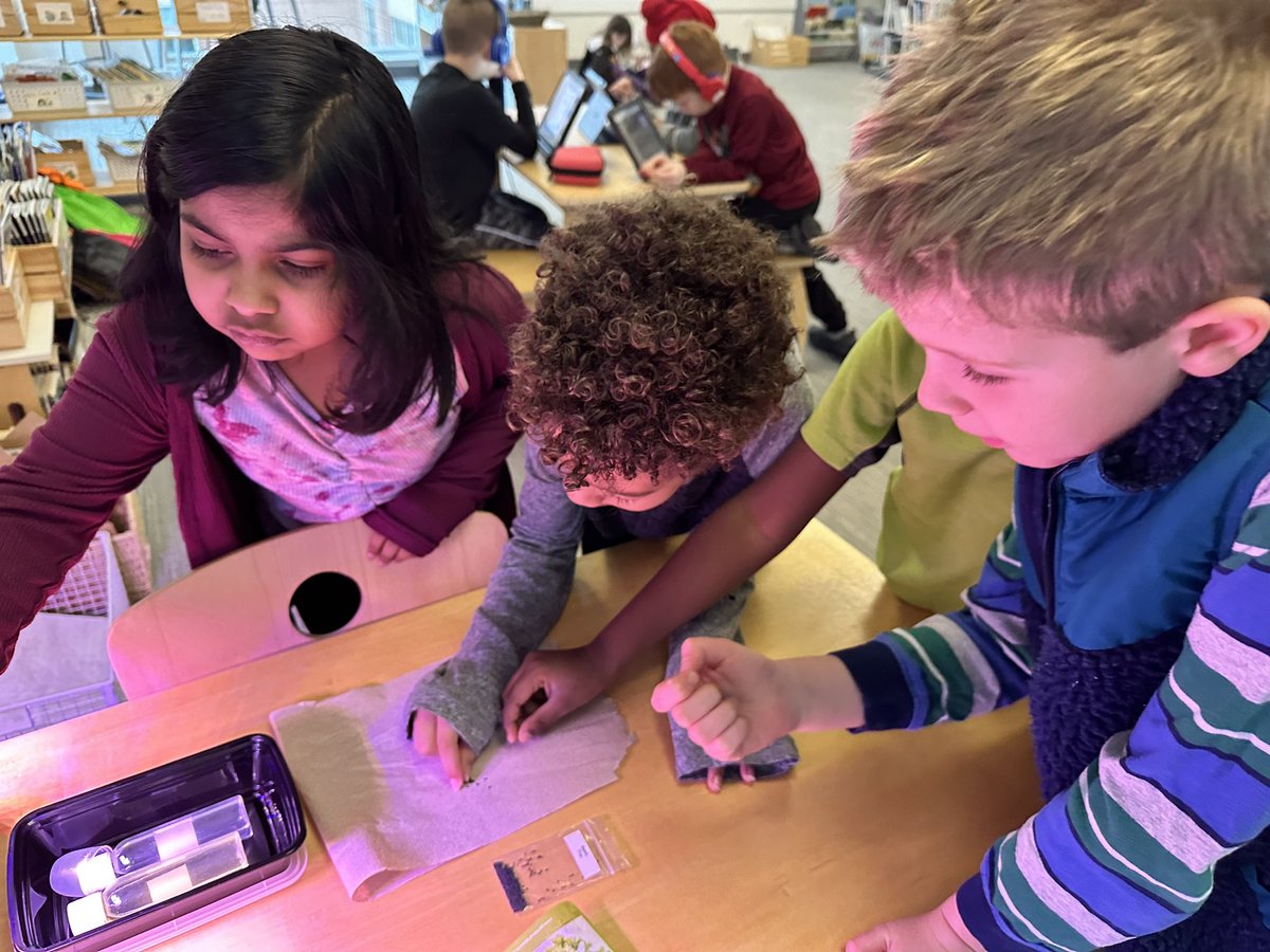 Ashley Vogel tweet media