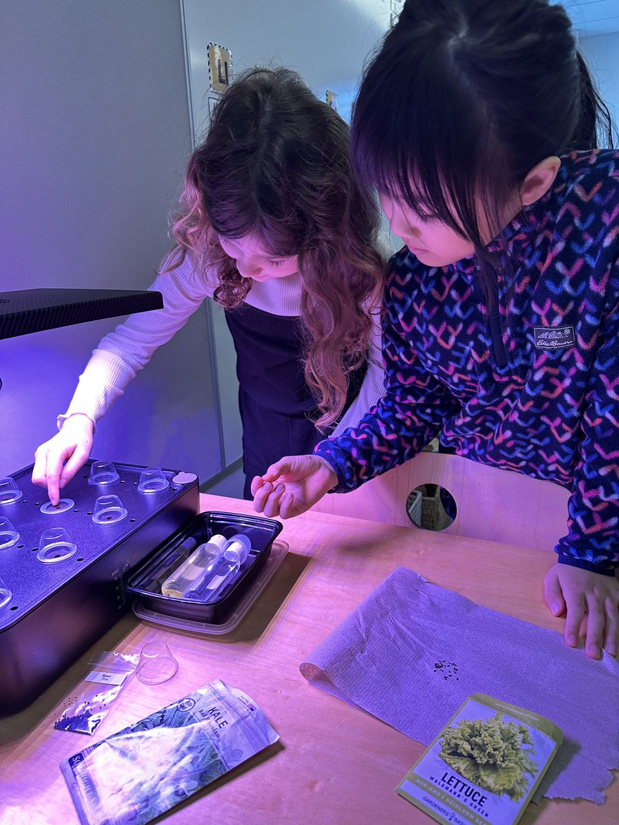 Ashley Vogel tweet media