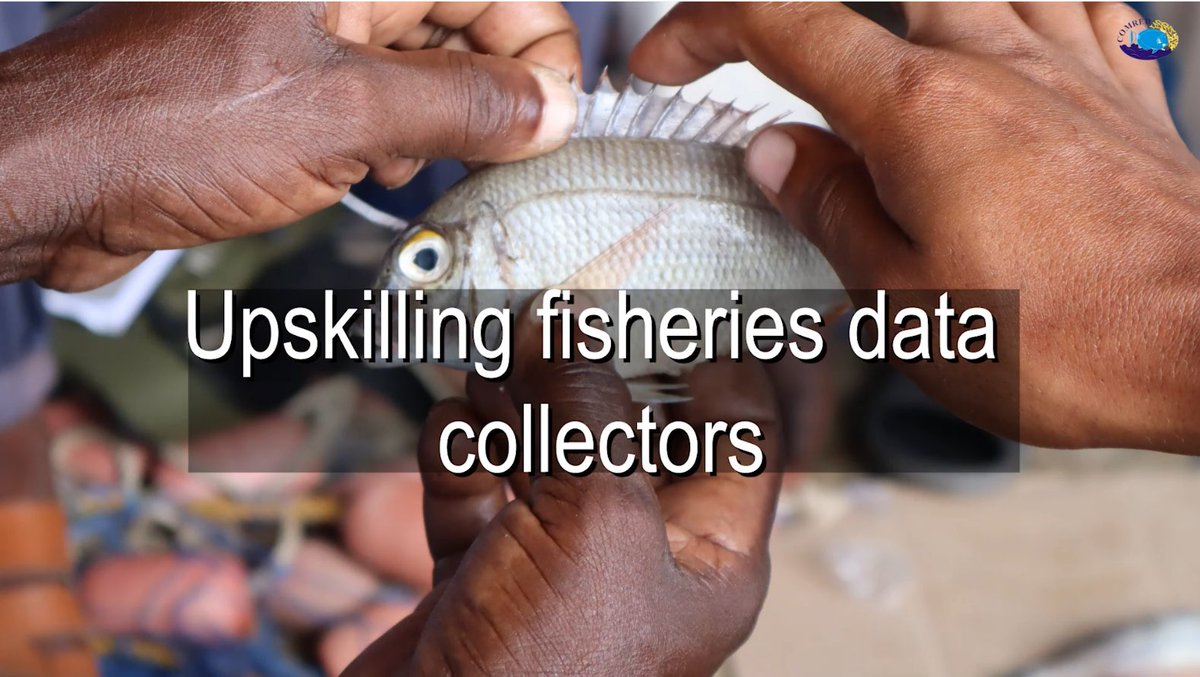 comred_'s tweet photo. Watch this photo story narrated by Hassan Mwashee 1 of 18 #Fisheries #data collectors as he shares his reflection of a recent training on fish identification,sampling &amp; measurement.This activity also involved chairpersons from 9 Beach Management Units 

https://t.co/vYk5gjVSow https://t.co/DQIgvt6a1j