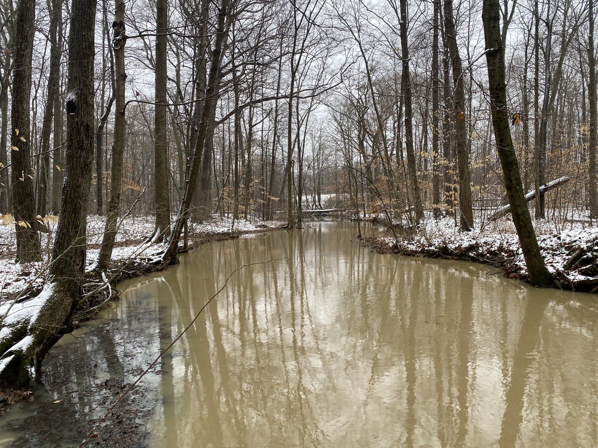 Robert (Bob) Bosch tweet media