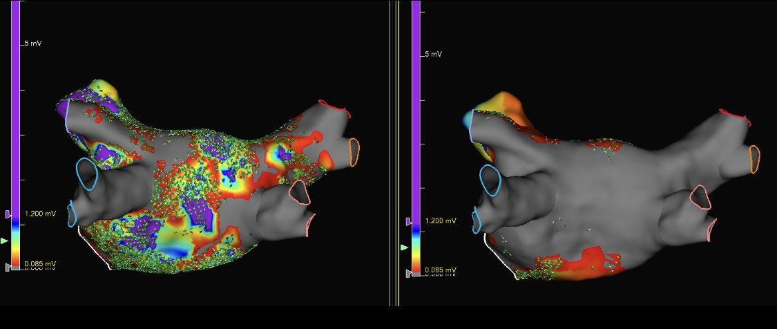 Cristina Donofrio tweet media