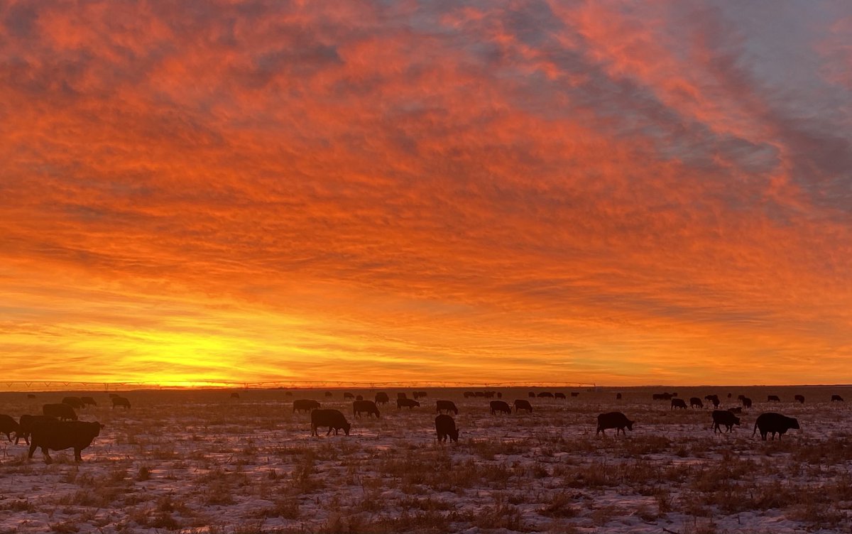 JespersenPD's tweet photo. Put her to work early this morning #nebraska #sunrise https://t.co/6YybUSfcFW