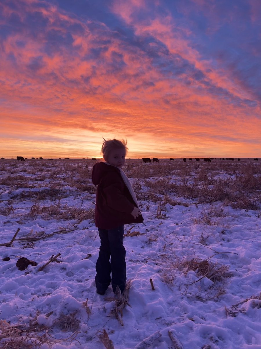 JespersenPD's tweet photo. Put her to work early this morning #nebraska #sunrise https://t.co/6YybUSfcFW