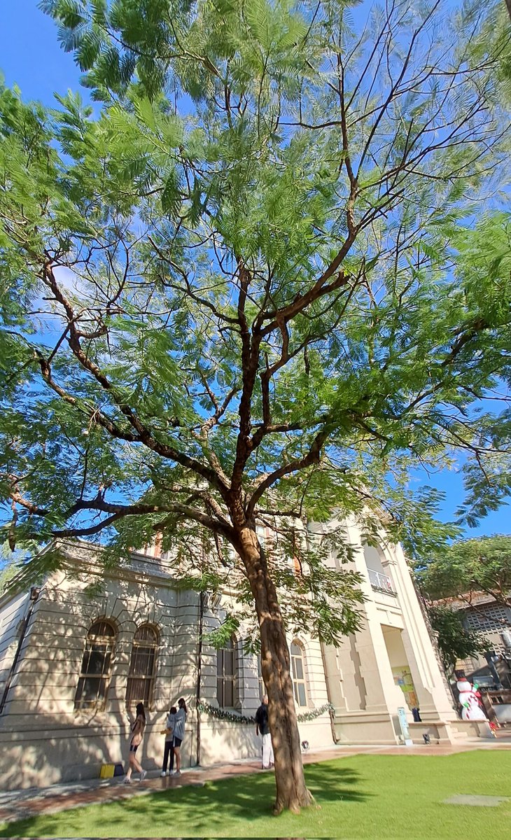 Nā-sī lâng leh bô tú-hó,
kam-goān lâi bô tú-hó
hoaⁿ-thâu-hí-bīn,
mā m̄ ài bô tú-hó kan-khó͘-chē-kòa.