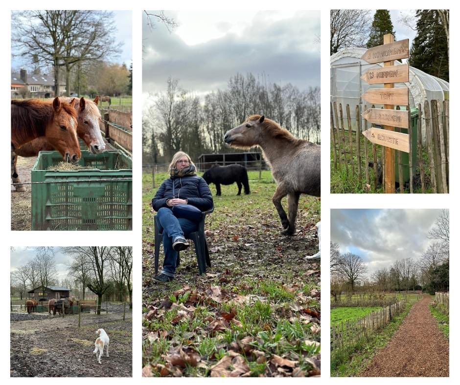 Ik mocht vandaag op bezoek bij SoulHorses in Lille. Eigenares Nathalie geeft er onder andere paardentherapie aan personen met én zonder beperking. Een prachtig initiatief en een leerrijke voormiddag! Meer info? soulhorses.be