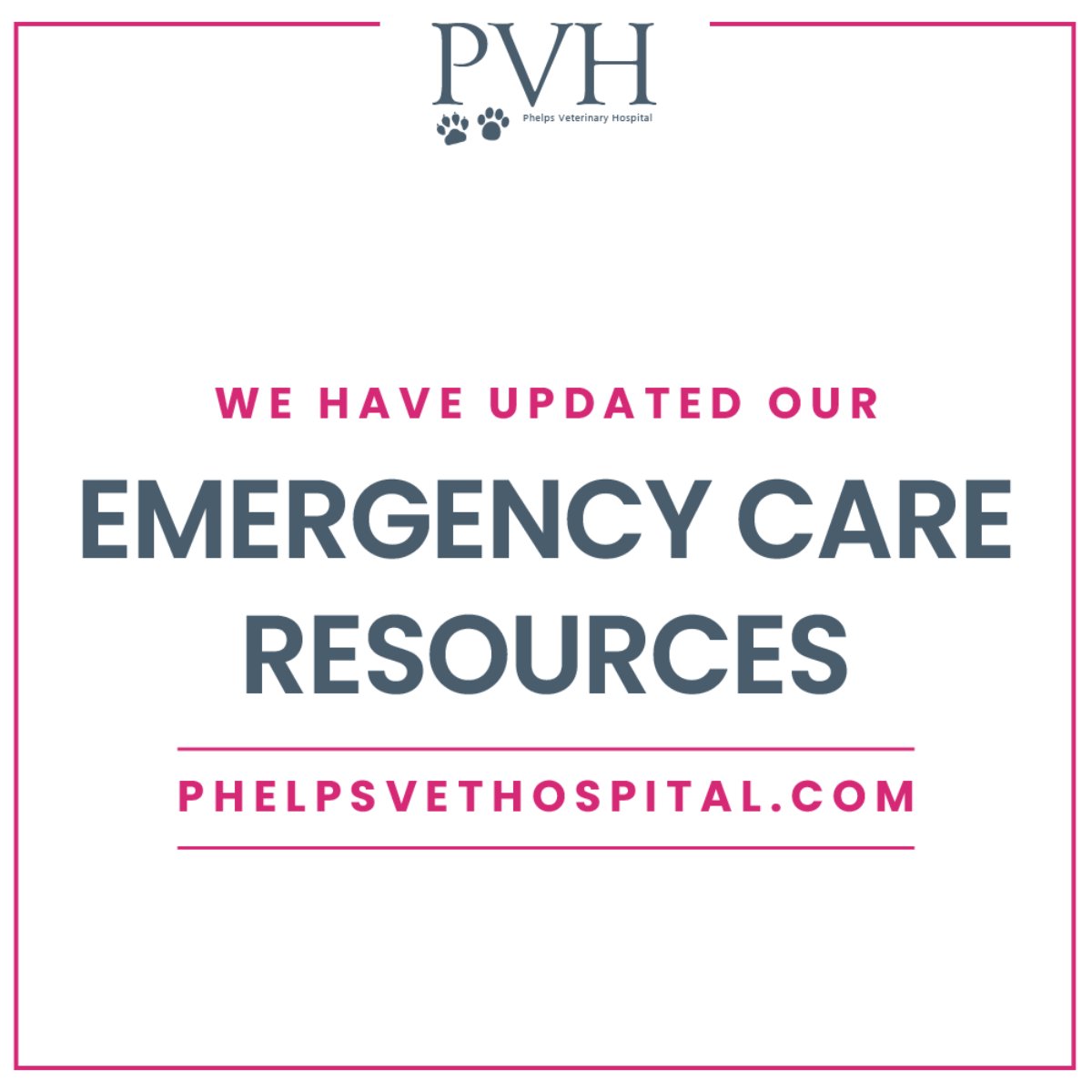 Phelps Veterinary Hospital tweet media