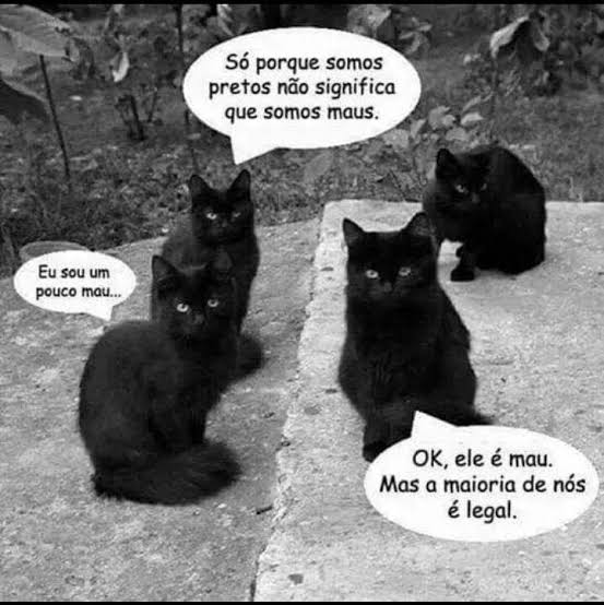 Bichinhos fofinhos pra quem ta cansado tweet media