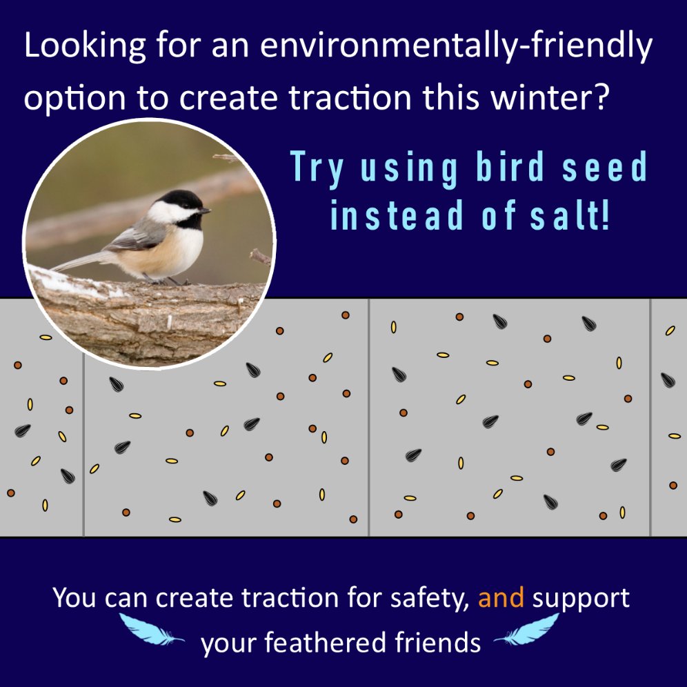 Over-salting is for the birds. Wait, no, birdseed is for the birds. Support feathery friends AND protect freshwater by using birdseed for traction. Join the salt reduction revolution during WI Salt Awareness Week, Jan. 23-27.   @WISaltWise 

#saltwisehacks #NEWSC #birds