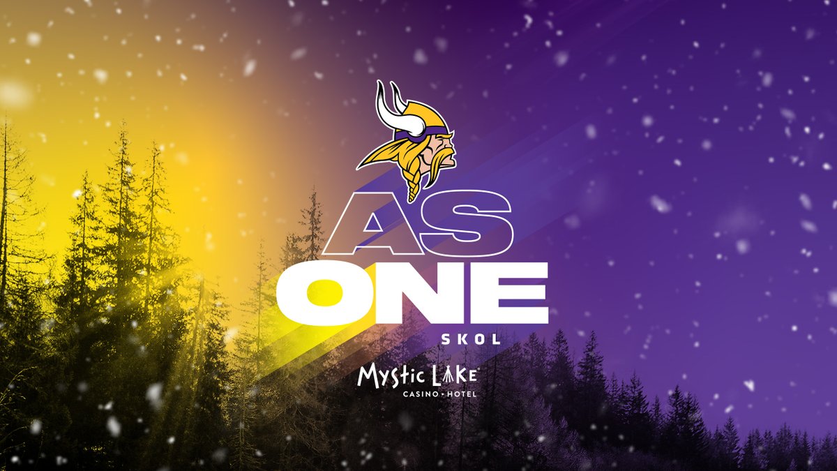 Minnesota Vikings tweet media