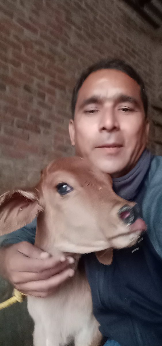 गौ सेवा करने का अवसर प्राप्त हुआ