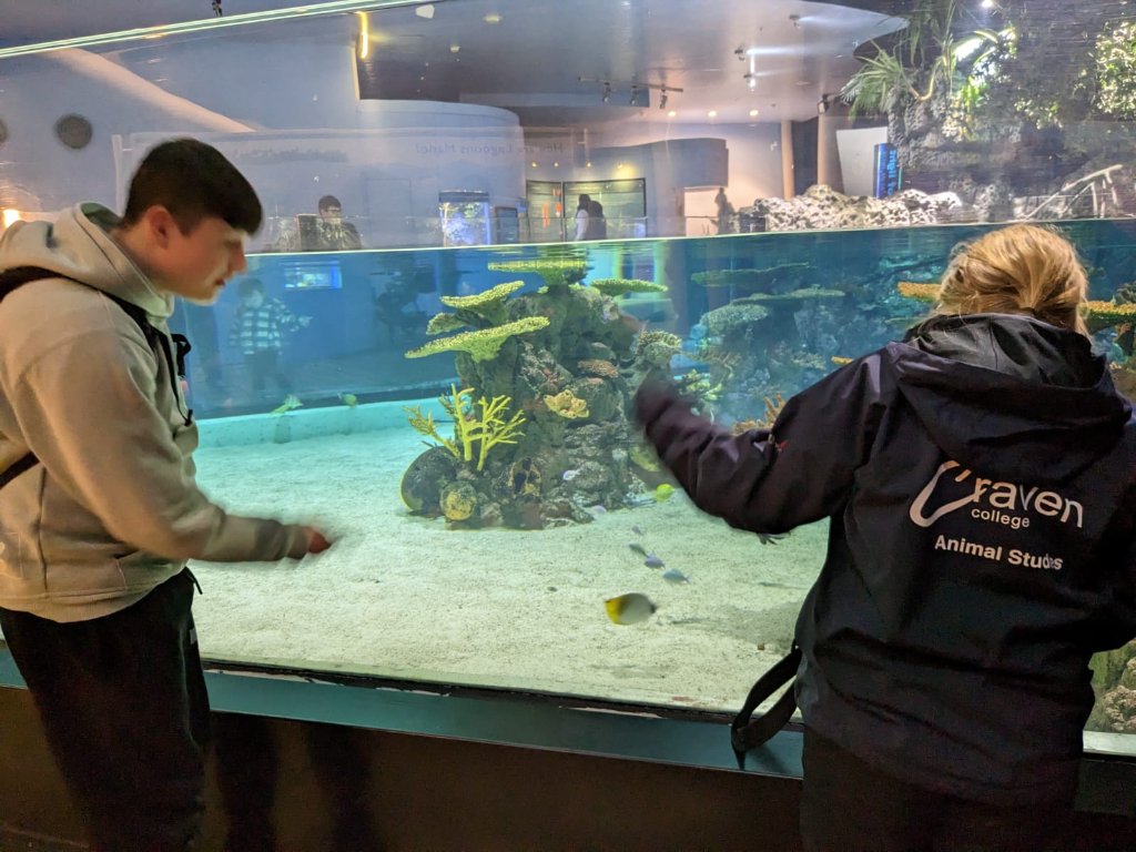 cravencollege's tweet photo. Animal Management students visited @TheDeepHull Aquarium in Hull today!

Head of Department for Animal Studies, Danielle Fox says "Educational visits really bring classroom learning to life and allows students to see a variety of workplace opportunities - this place is amazing!" https://t.co/hQtjmoFwLi