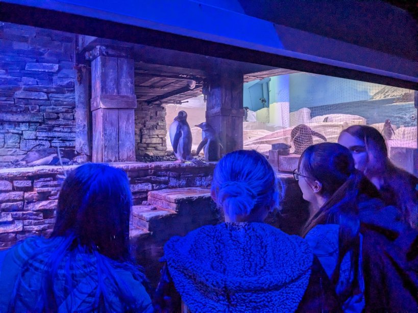 cravencollege's tweet photo. Animal Management students visited @TheDeepHull Aquarium in Hull today!

Head of Department for Animal Studies, Danielle Fox says "Educational visits really bring classroom learning to life and allows students to see a variety of workplace opportunities - this place is amazing!" https://t.co/hQtjmoFwLi