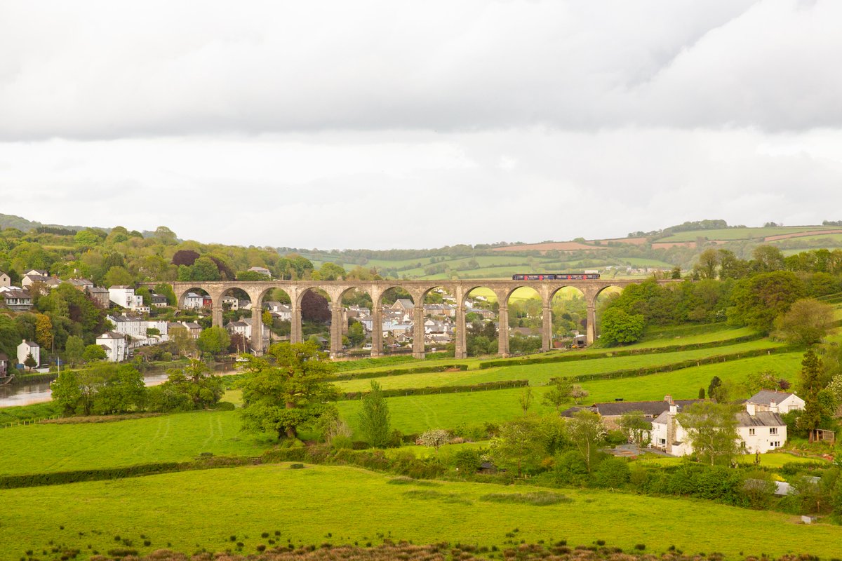 Visit Tamar Valley tweet media