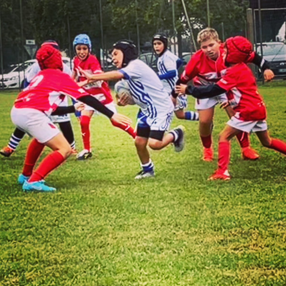 leprottirugby's tweet photo. 🚂🏉

ATTENZIONE ⚠️ Treno Leprotto in transito sul binario 1, allontanarsi dalla linea gialla 🛤️🟡

⚪️🔵🏉🐇
#leprotto #leprottoincorsa #treno #train #versolameta #forzaleprotti #corrileprottocorri #allontanarsidallalineagialla #leprottirugbysoliera #leprotti #rugby #soliera https://t.co/y2RV5fp225