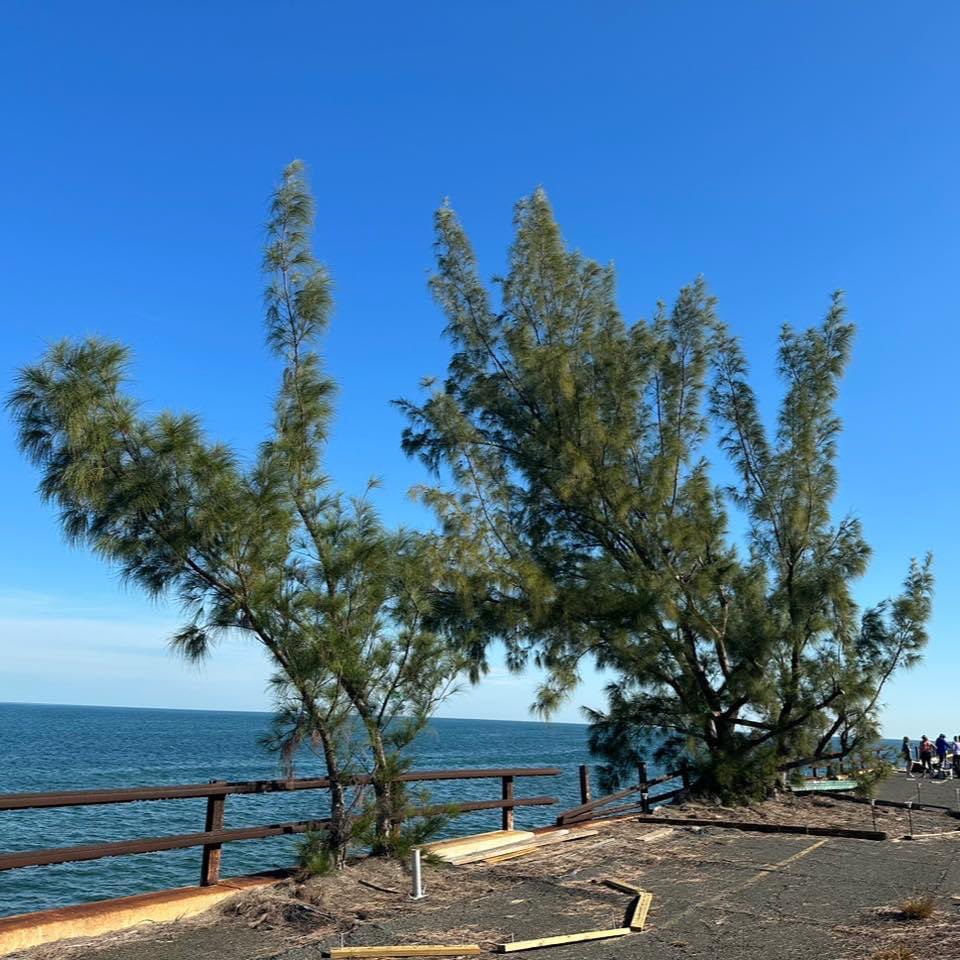 Gwen Filosa Media Key West tweet media