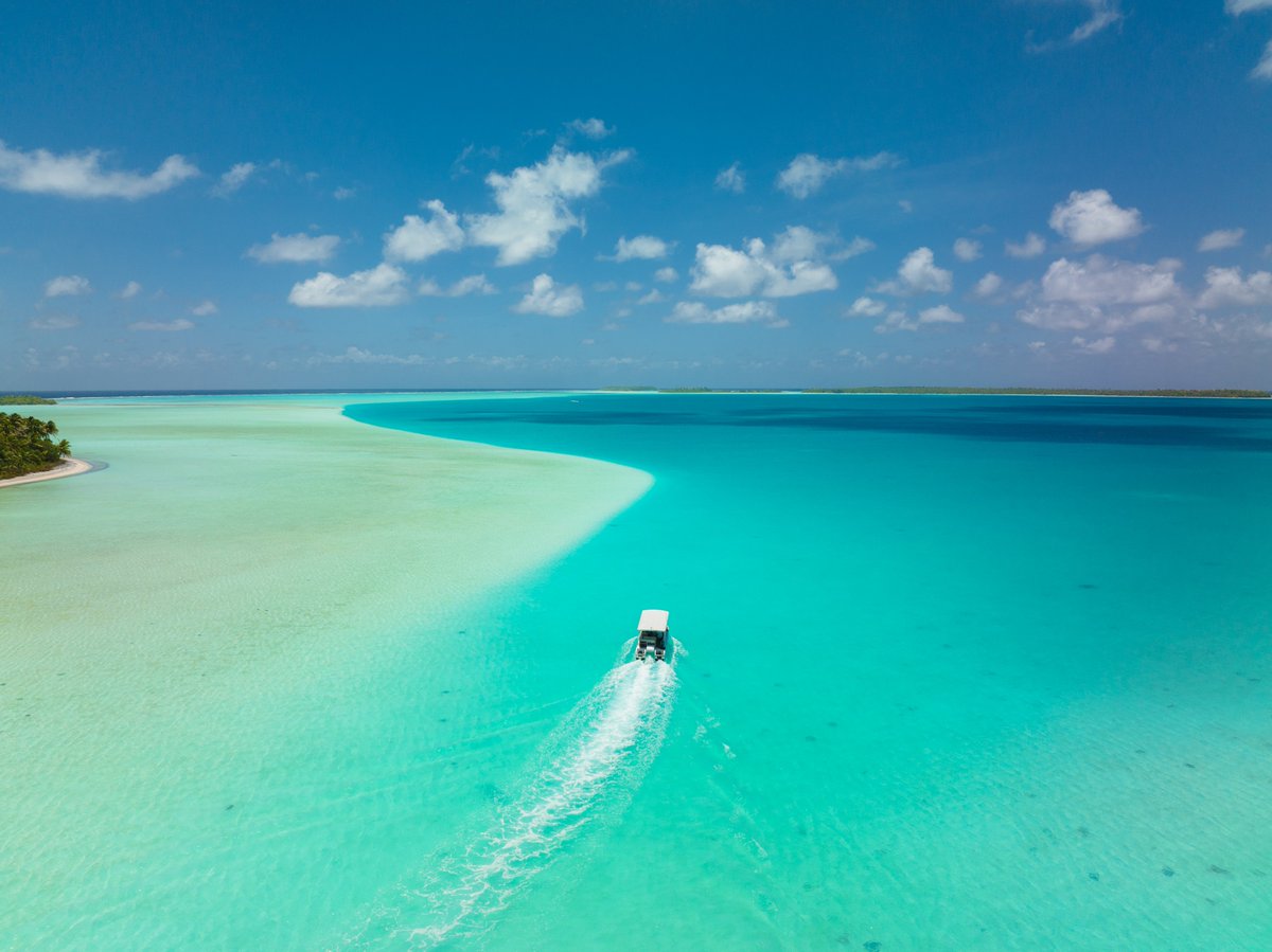 Follow The Brando on Instagram: instagram.com/thebrandoresort #travel #tetiaroa #frenchpolynesia