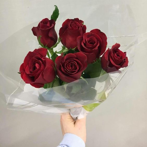 lavieestbelIe's tweet image. Red roses ♥️