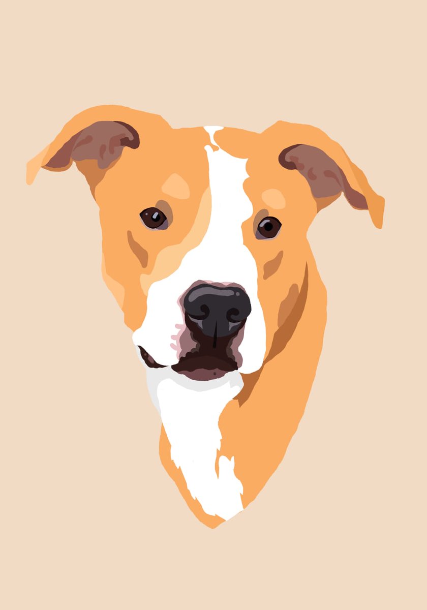 RedWingedWren's tweet photo. Forgot to share this set of three dogs i was commissioned for as a christmas gift. So happy with how they turned out, looked amazing once printed. ❤️ https://t.co/9t13y7Otuc