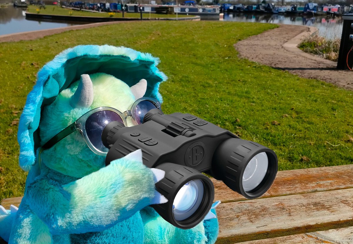 RHC_Library's tweet photo. Digby has been getting into bird watching this winter, his favourite bird is the Sedge Warbler🐦

Make sure you get a chance to read our bird watching books for this year's RSPB #birdwatching weekend!

@Reaseheath https://t.co/z52ykH2zK7