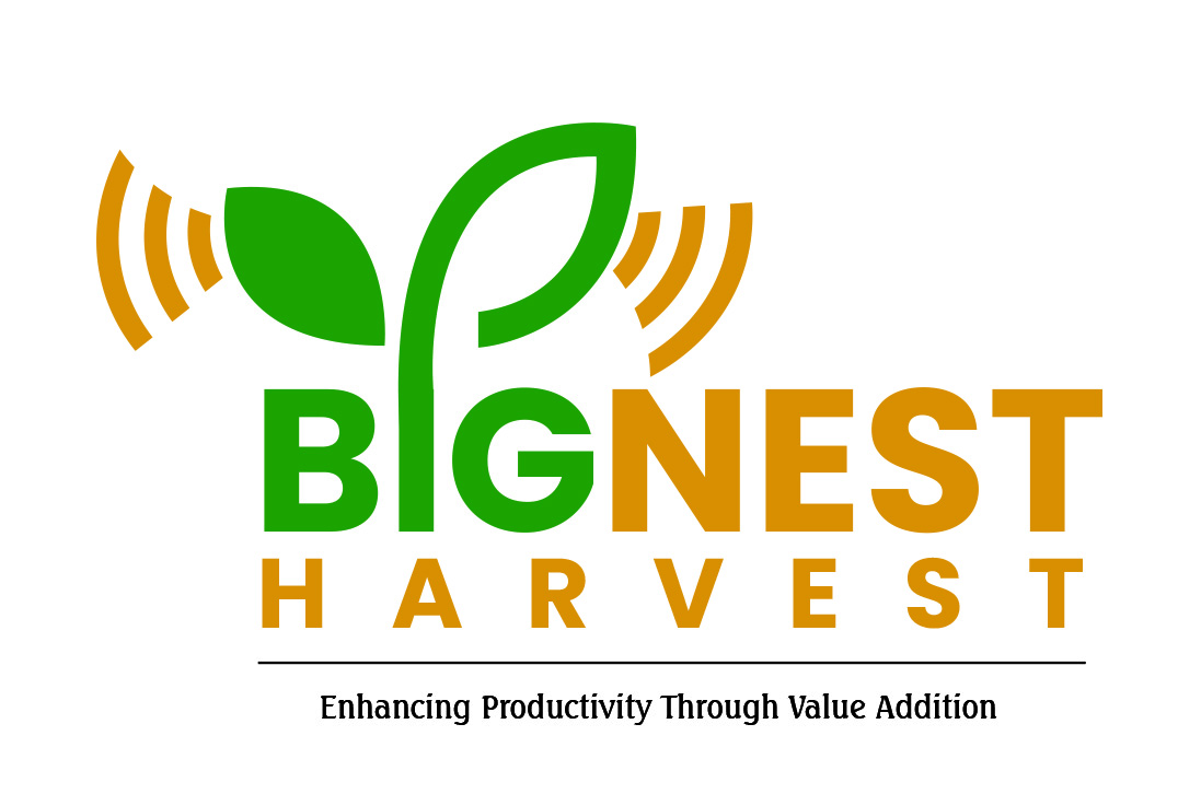 mapachasolution's tweet image. Done Website &amp;amp; Logo Design For Bignest Harvest...big-nest.com