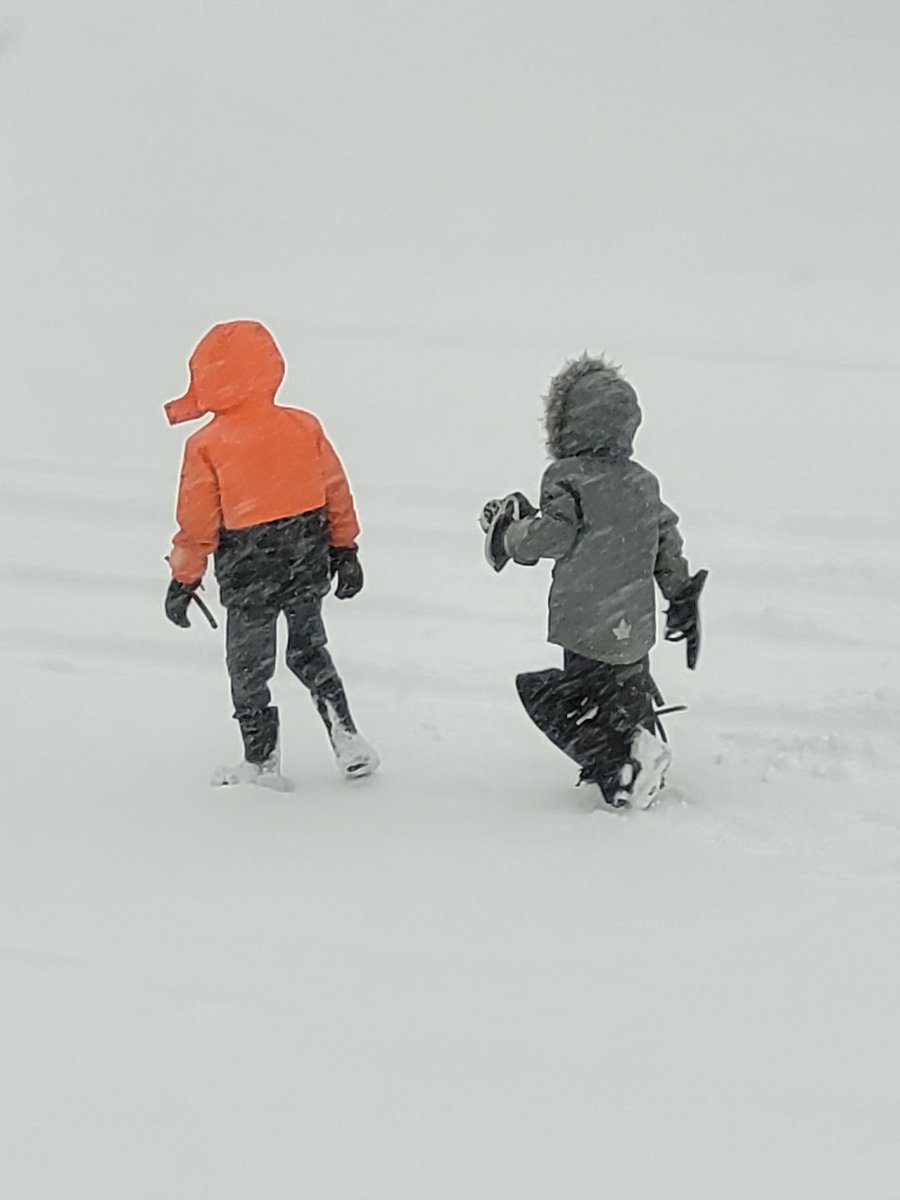 ShawnCation's tweet image. It might be a snow day....but you have to be prepared in case a road hockey game starts! 🏒🤣 #lifeincanada🇨🇦 #goaliesneeded