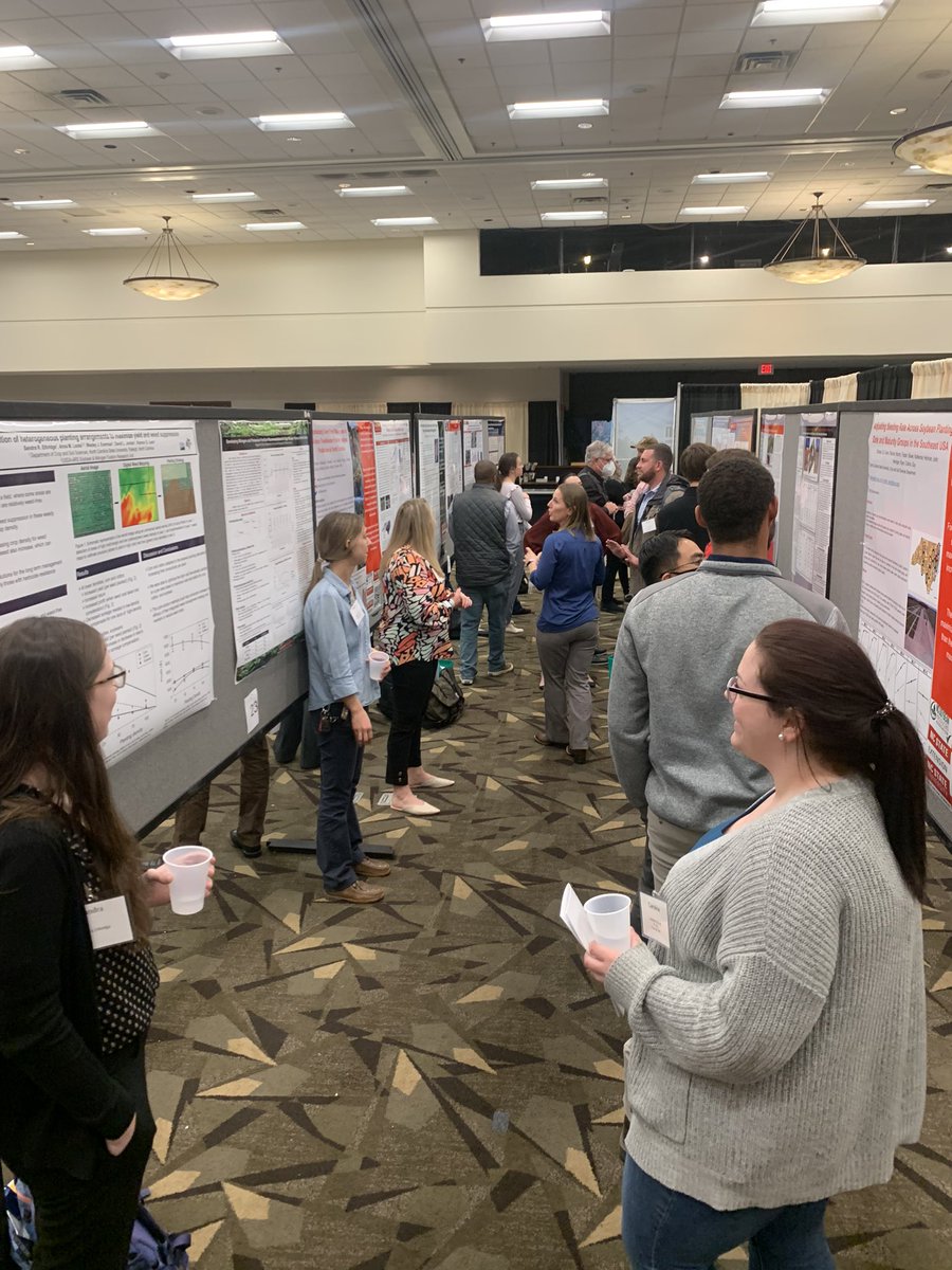 NC State Soybean Extension tweet media