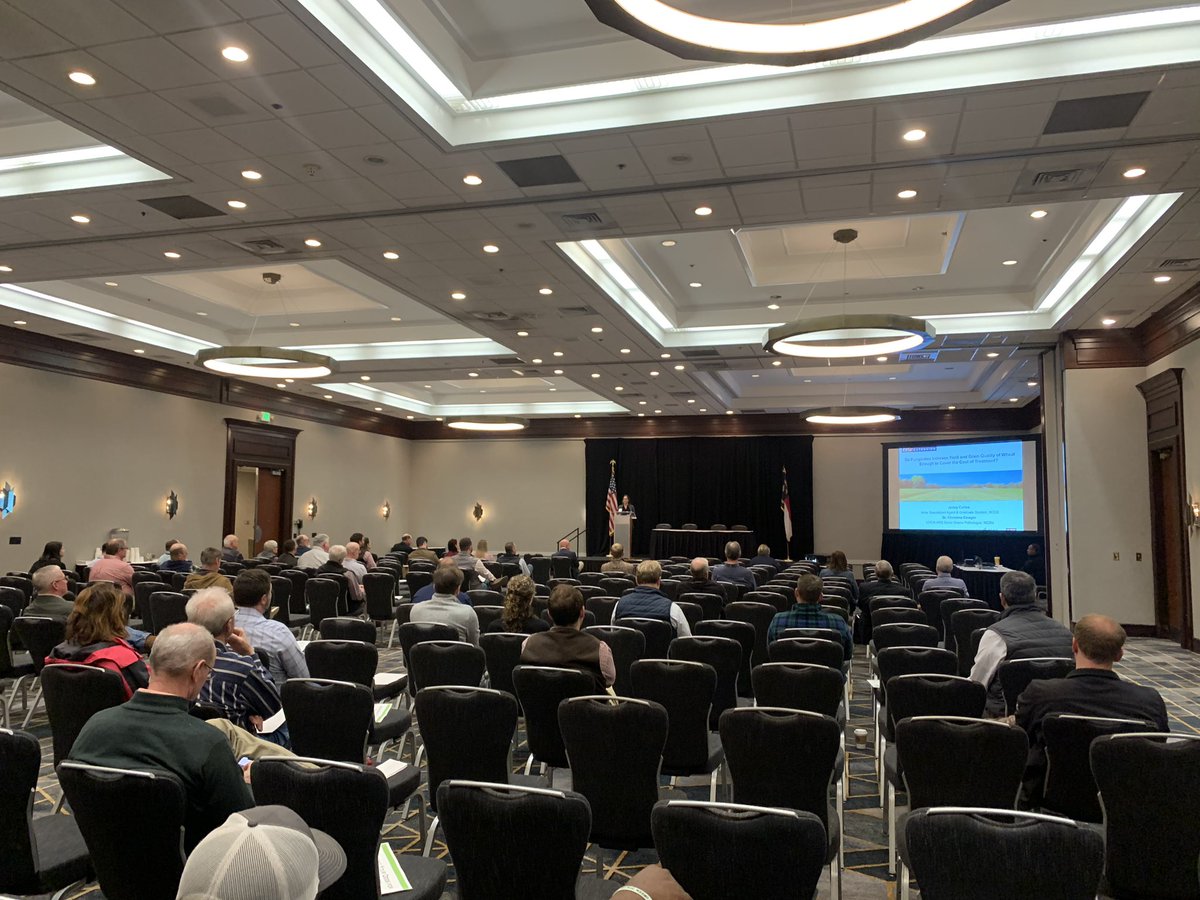 NC State Soybean Extension tweet media