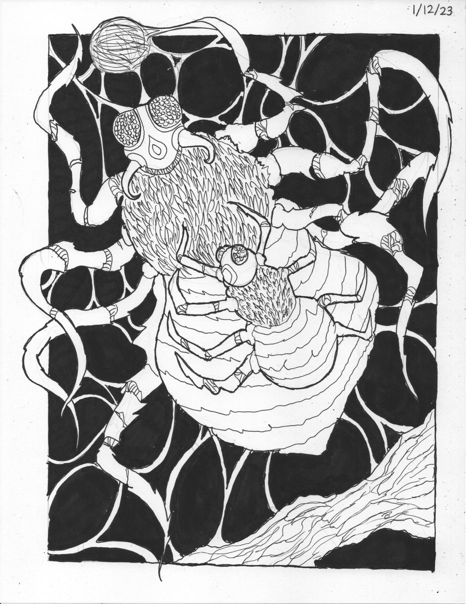 DPillustrations's tweet photo. #Illustrations #illustrationartists #drawing #Pencildrawing #pencilart #pencilsketch #art #artwork

gm☕️☕️☕️
-🕷️🕸️
-Toad Emperor
-🧜‍♀️ of the Aegean Sea
-Landscape https://t.co/iMguiGqKwL