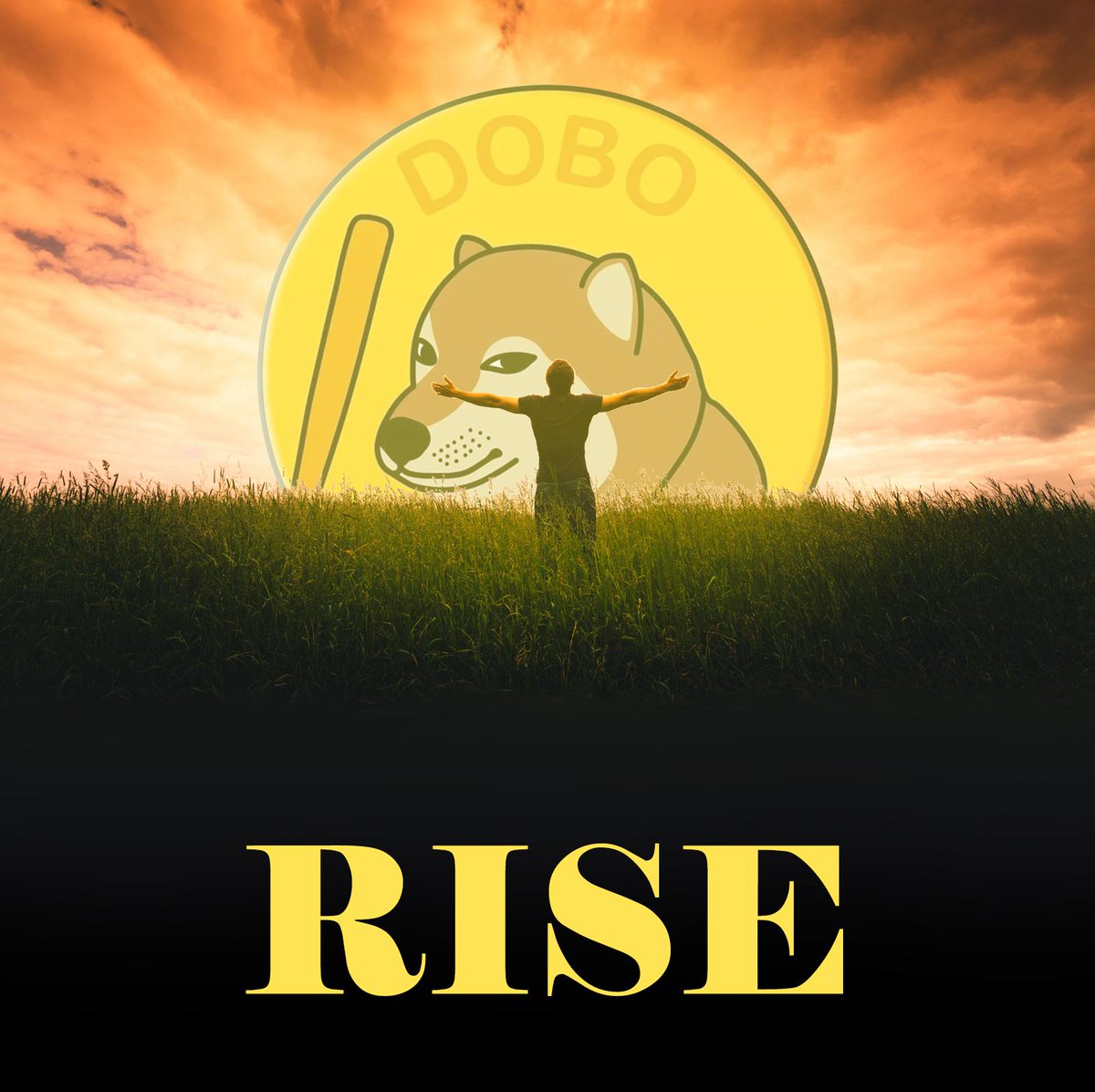 dogebonk_token's tweet image. GM bonkers. stay safe this spooky friday .

$DOBO #DogeBonk #BONK #DOBO #BNB #Binance #BSC #Memecoin