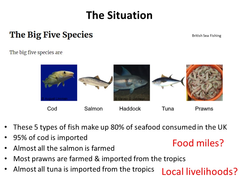 Bryce Stewart tweet media