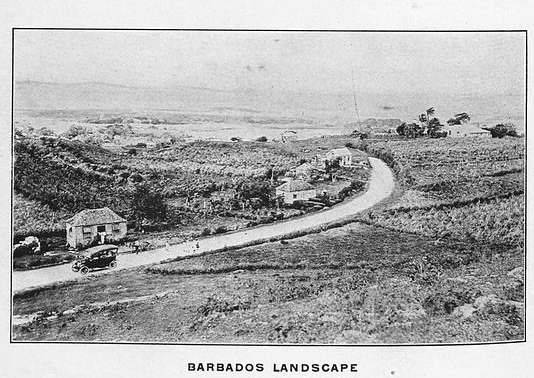FLASHBACK FRIDAY: a shot of the landscape of Barbados, circa 1917. #barbados #oldbarbados #flashbackfriday #throwback instagr.am/p/CnXBon1uHC8/