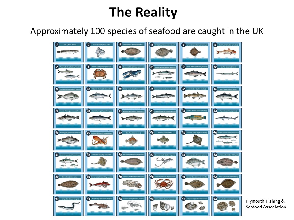 Bryce Stewart tweet media