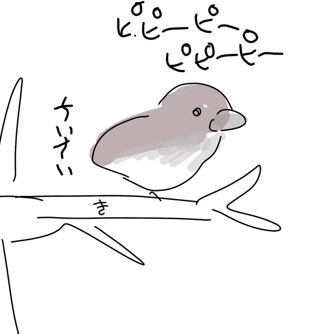 > 最近気になってる鳥の鳴き声↓
ピピーピーピピーピーピピーピー
これなに?

↑町中とかで聞こえるようならキジバト… #odaibako_45sabanomisoni https://t.co/xGEqm0PKqt
キジバトの声聴きました 低かった!
今日聞いたのは高い鳴き声でした
近くにいた鳥が↓だったのでこいつかなと思ってます 