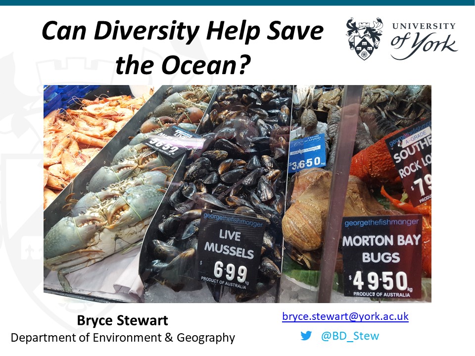 Bryce Stewart tweet media