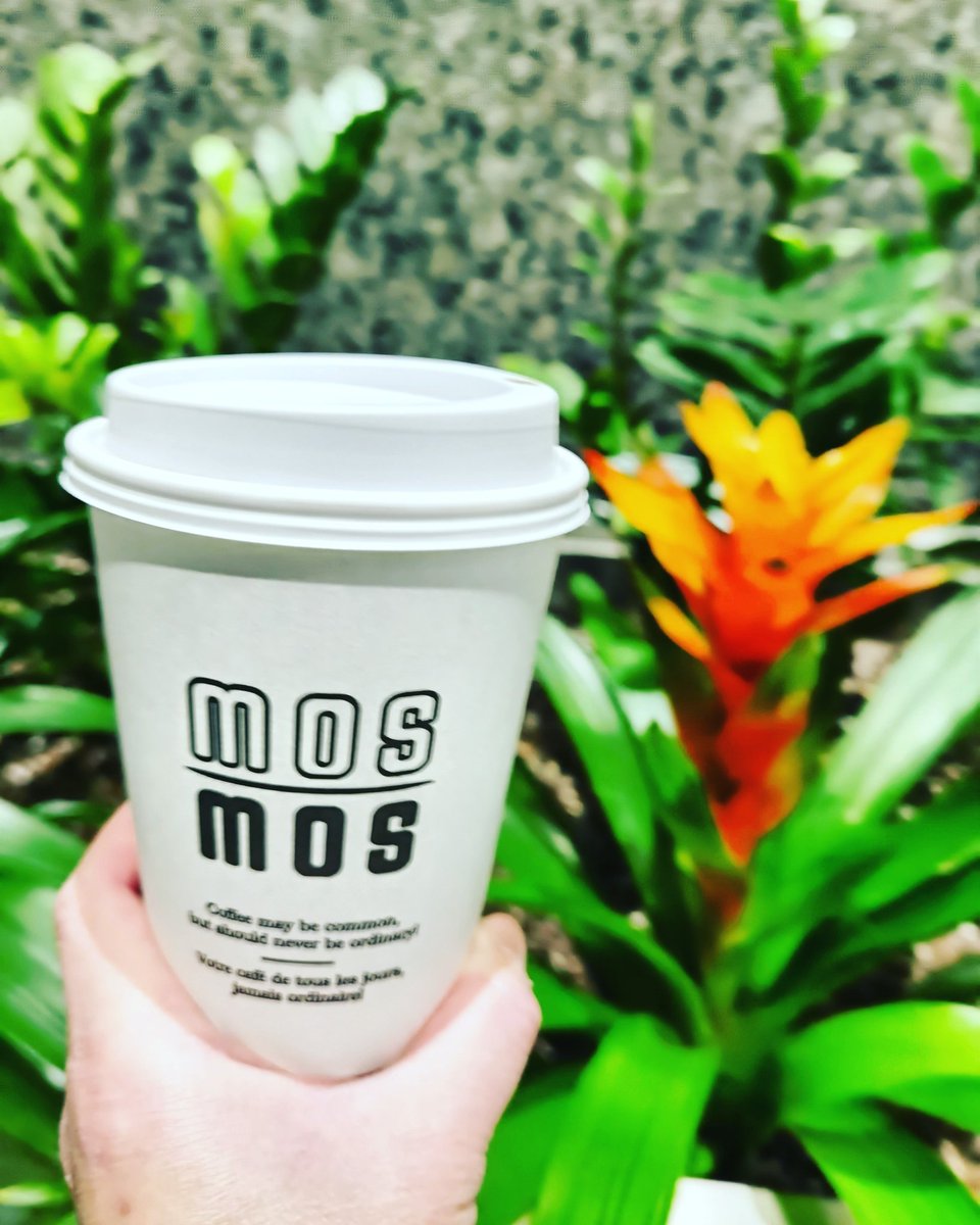 MoVernie's tweet photo. Rise & Shine to a great cup of gourmet coffee at #MosMos.
HEADS-UP: Next Wednesday, January 18 is #NationalGourmetCoffeeDay!
#MosMosCoffee have a number of locations located mainly in the Toronto Downtown Financial District.
#January18 #january18th #GourmetCoffee #ThePATH https://t.co/V9rubxJpi5