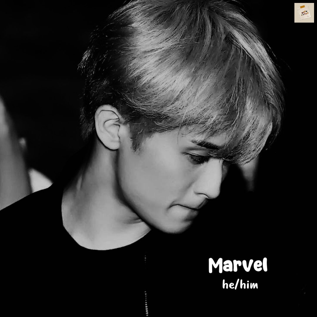 🕊️ hey? ㅤ ㅤㅤ ㅤ ㅤ