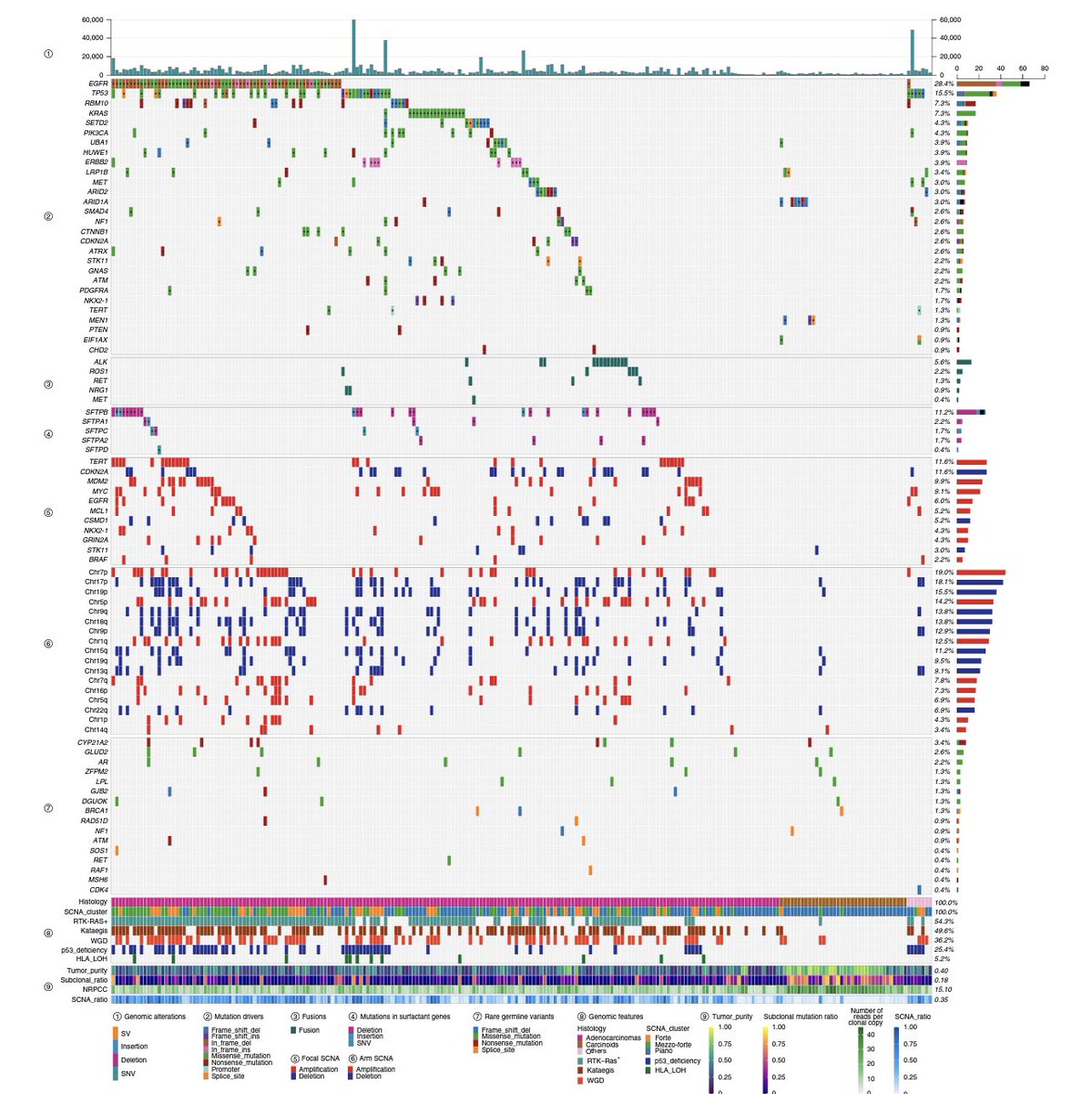 diegoadiazg's tweet photo. Lung cancer in never smokers. The Sherlock-Lung study analyzes tumor genomic changes as ‘fingerprints’ to infer carcinogenic processes and evolutionary trajectories of lung cancer in never smokers.
@NatureGenet
DOI https://t.co/LM0JbAyuWJ.
#lungcancer #lcins #lcsm https://t.co/DCbZLfdH5p