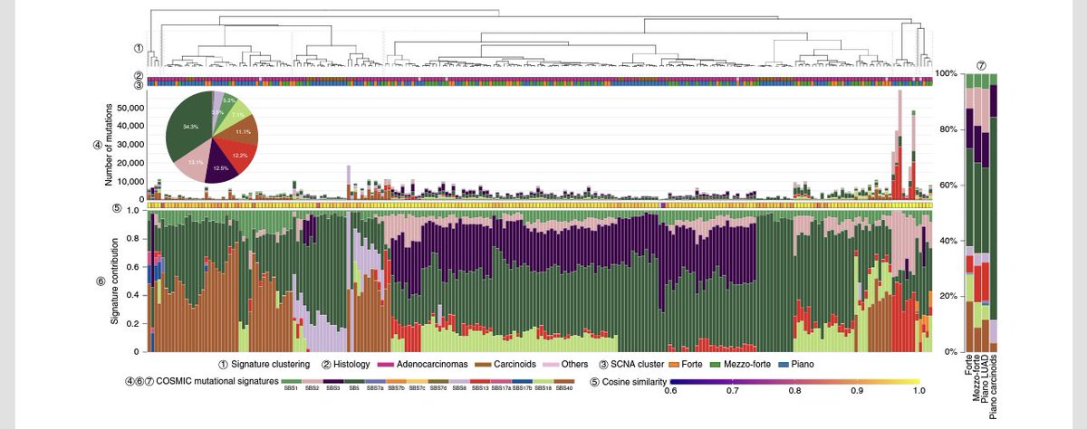 diegoadiazg's tweet photo. Lung cancer in never smokers. The Sherlock-Lung study analyzes tumor genomic changes as ‘fingerprints’ to infer carcinogenic processes and evolutionary trajectories of lung cancer in never smokers.
@NatureGenet
DOI https://t.co/LM0JbAyuWJ.
#lungcancer #lcins #lcsm https://t.co/DCbZLfdH5p