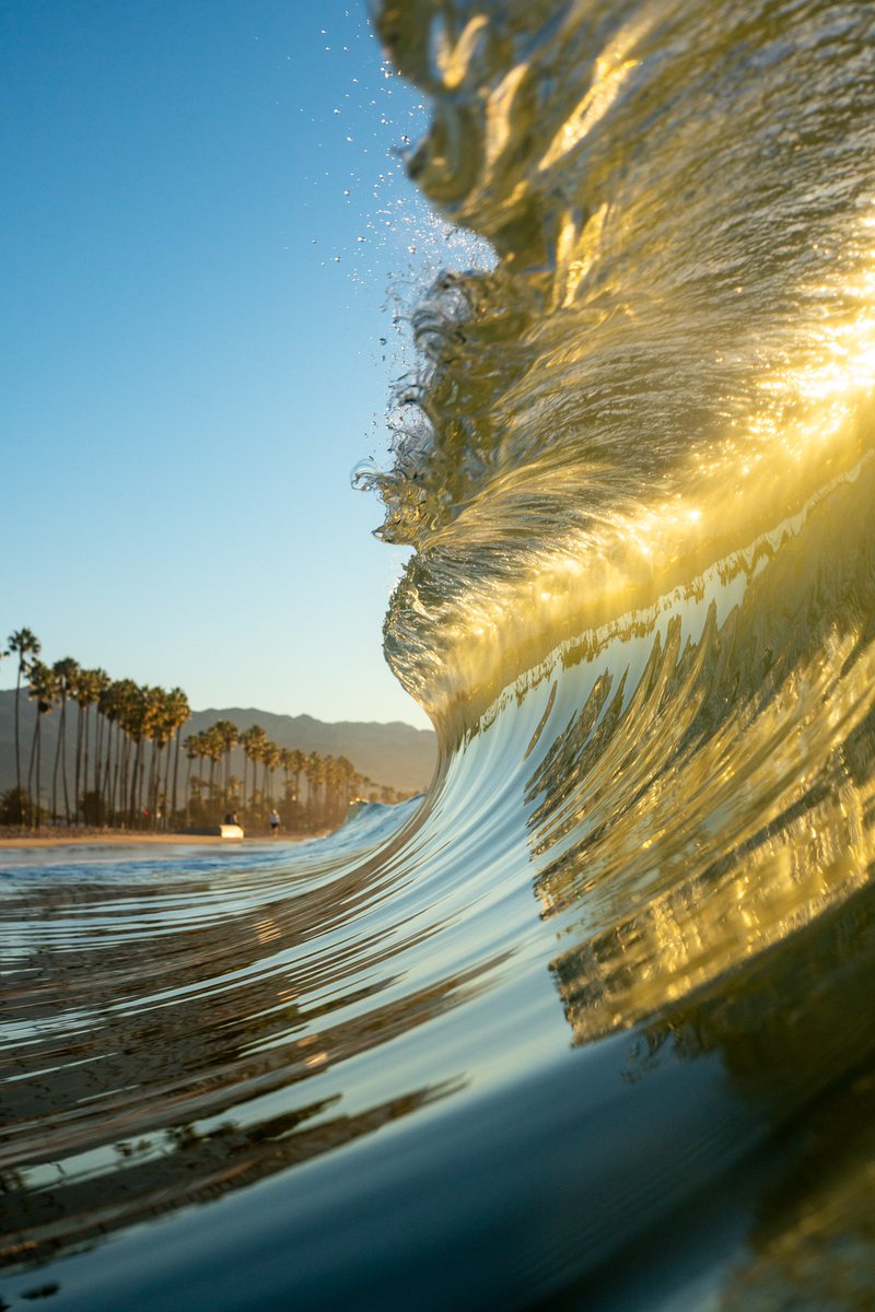 collindewell's tweet photo. gm 🌴🌊 https://t.co/oewdtjDpHh