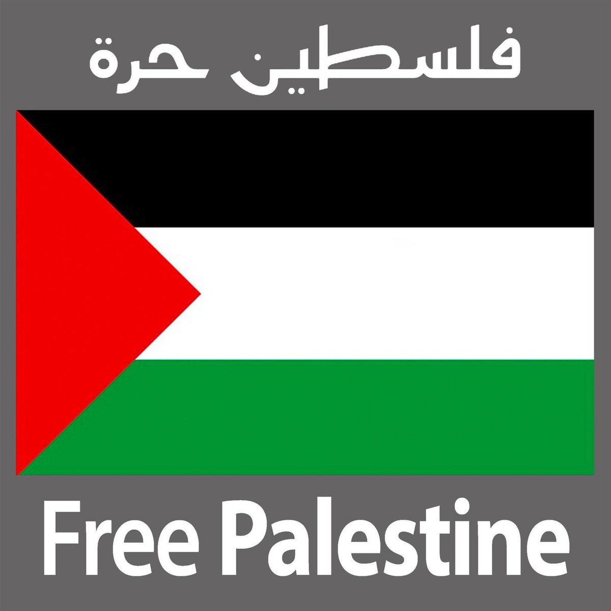 PalestineCultu1's tweet photo. How many likes does it have?
Free Palestine🇵🇸 https://t.co/7HJxLbG2ri