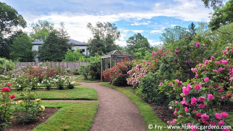 The weather is frightful today, so we thought we'd share a glimpse of the cheery summer season that awaits us!
This is the Rose Collection, as seen on July 1, 2022.