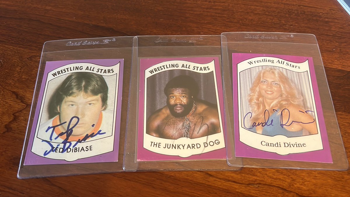 The Color Purple… #WrestlingCards #WrestlingAllStars