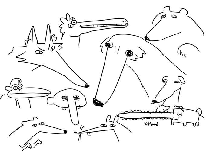 long long snout 