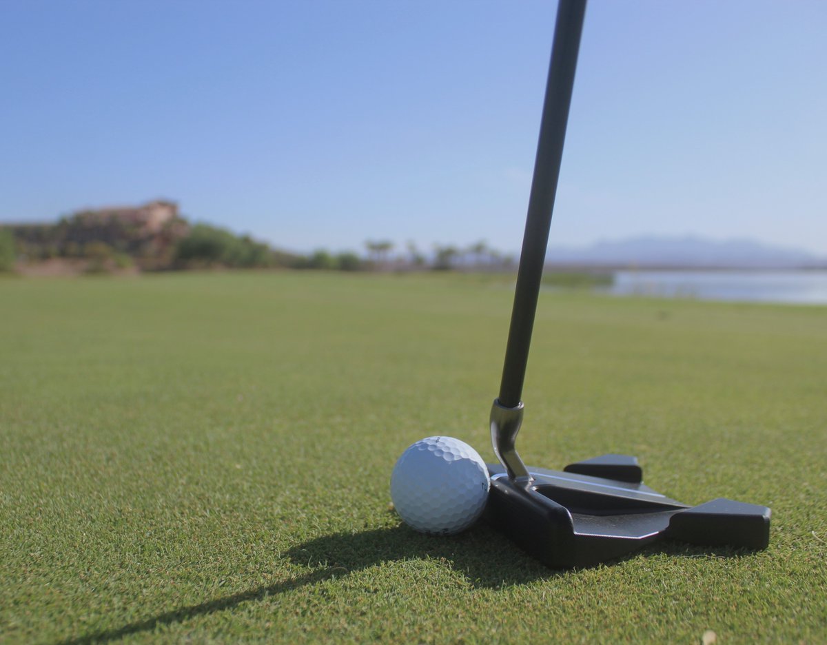 BloodlineGolf's tweet photo. Tour Tested. Premium Performance.
#bloodlinegolf #bloodlineputters #bloodlining https://t.co/c8cYS3gS4E