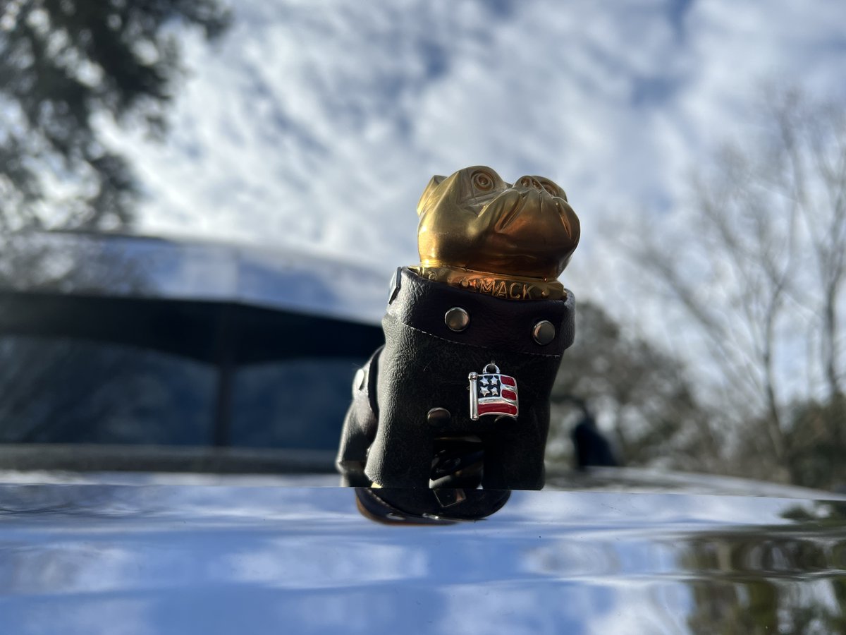 MackTrucks's tweet photo. Celebrate National #DressYourPetDay with us tomorrow and receive a free Mack bandana for you and your copilot.
π Share your truck & pet together or decorated hood ornament
π Tag #PartnersForTheRide and @MackTrucks
*Bandanas available while supplies last - US shipping only. https://t.co/flxzHjnfId