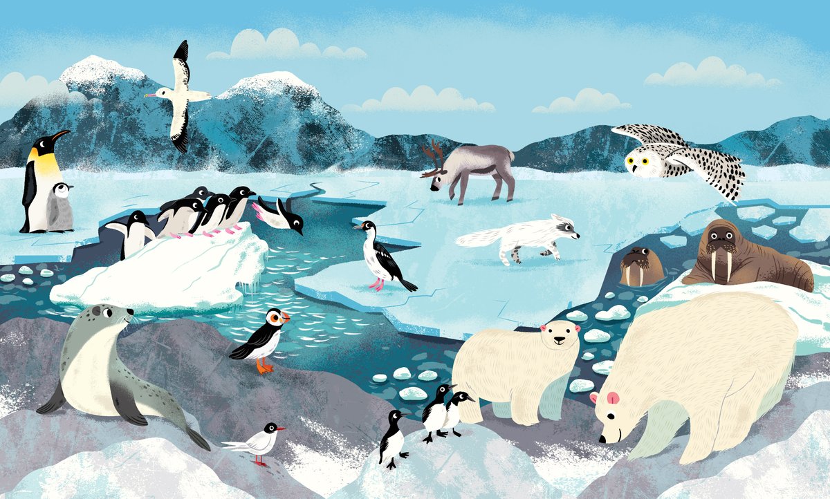 🐧🐧🐧 #kidlitart #kidlit #illustration #publishing #Illustrator