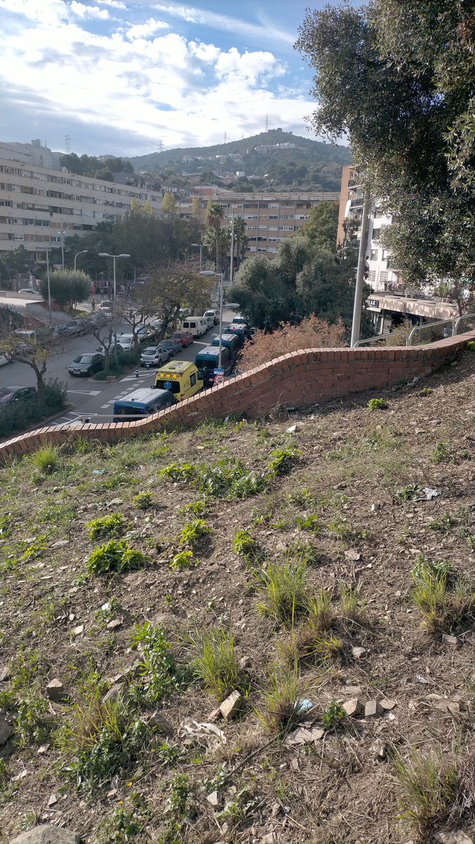 No es pot entendre que uns fons voltor deixin fora d'unes vivendes a dues mares amb sis infants. És un país malalt. Elles volen viure a zona nord, volen pactar un lloguer i no es pot fer res. Un jutge i uns policies sense cap mena de dubte, col·laboren i es queden tant tranquils